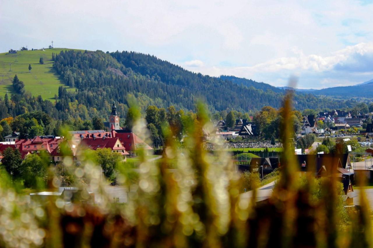 Domki W Bialce Pod Kotelnica Bialka Tatrzanska Exterior photo